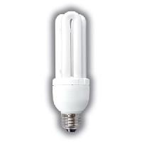 Compact Fluorescent Lamp