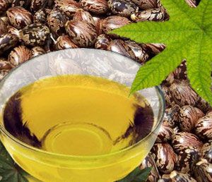 Castor Seed Oil