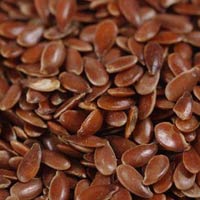 Flax Seeds