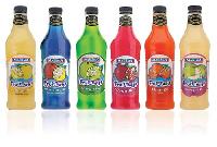 Fruit Flavoured Syrups