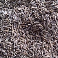 Cumin Seeds