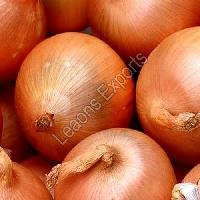 Fresh Onion