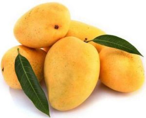 Fresh Mango