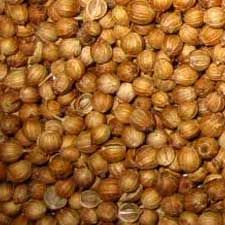 Coriander Seeds