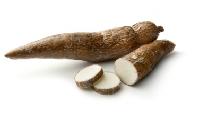 Cassava