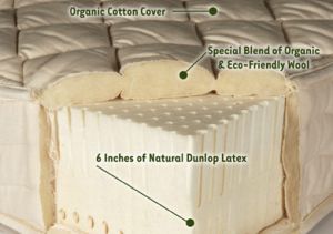 elastoflex natural foam rubber mattresses