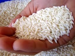 Long Grain Rice