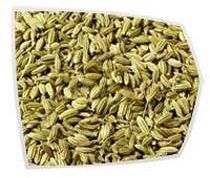 Fennel Seeds