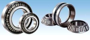 Tapper Bearings