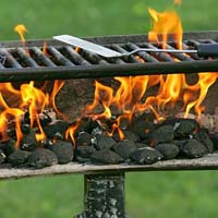 Coconut Shell Charcoal Briquettes