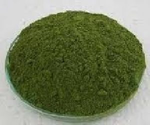 Kasoori Methi Leaf Powder