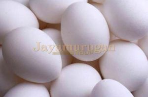 White Eggs