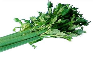 Fresh Celery