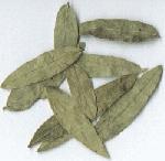 Dried Senna Leaves