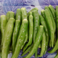 Green Chilly