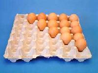PAPER EGG TRAY
