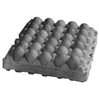 Paper Egg Trays