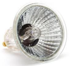 Halogen Light Bulb