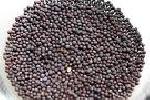Black Mustard Seed (Rai)