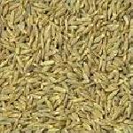 White Cumin Seeds (Zeera)