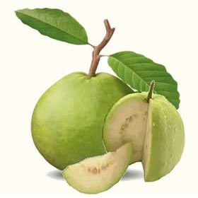 Fresh Guava