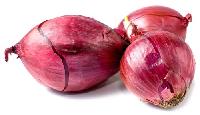 Red Onion