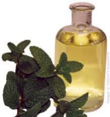 Peppermint Essential Oil