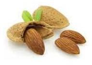 Sweet Almond Carrier Oil