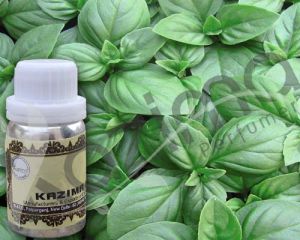 Sweet Basil Oil