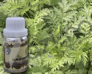 Wormwood Oil