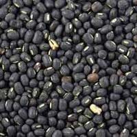 Black Mung Beans