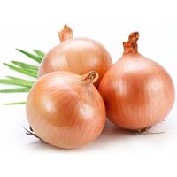 Fresh Onion