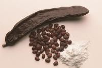 locust bean gum