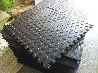 Stable and cow Mat