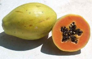 Fresh Papaya