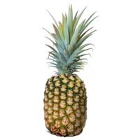 Fresh Pineapple