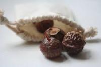 Soap Nuts