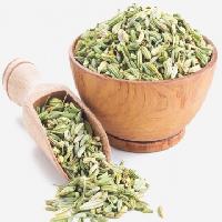 Fennel Seed Oil