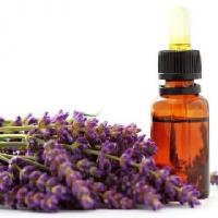 Lavender Oil