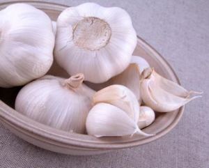 Fresh Garlic