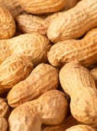 Groundnut Shell