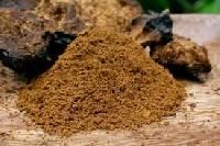 Shilajit Extract