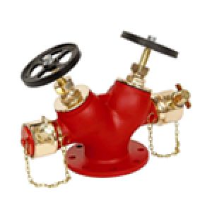 Double Hydrant System