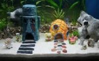 aquarium products