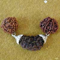 Rudraksha Pendant