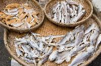 Dried Fish