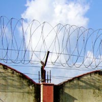 Rounded Razor Wire Without Sharp Blade