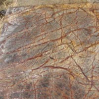 Brown Forest Marble