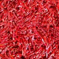 Dried Red Chilli