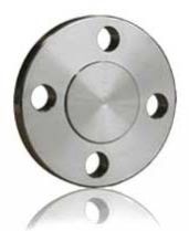 Stainless Steel Blind Flange